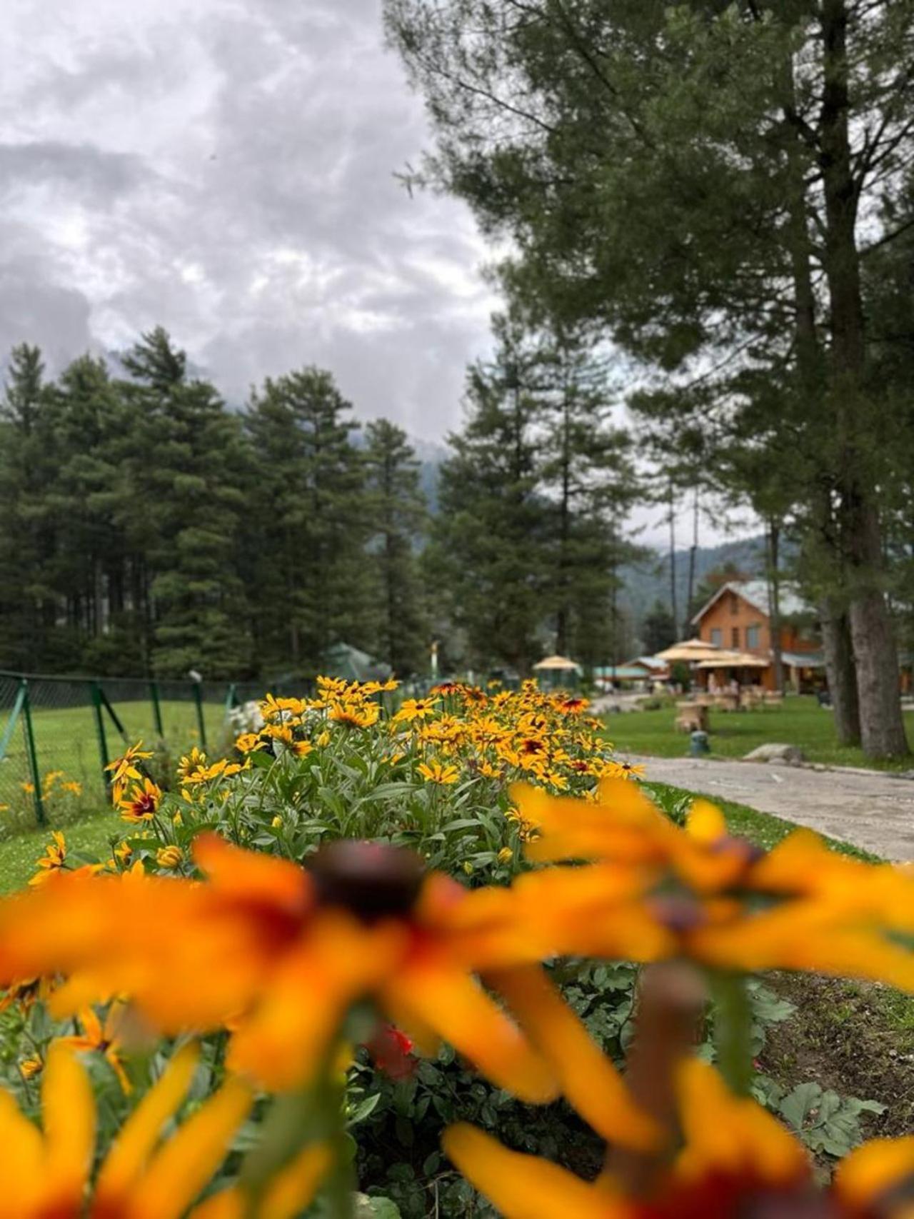 Radisson Golf Resort Pahalgām Exteriér fotografie